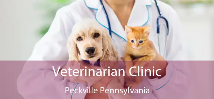 Veterinarian Clinic Peckville Pennsylvania