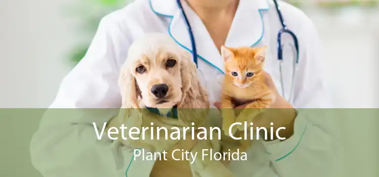 Veterinarian Clinic Plant City Florida