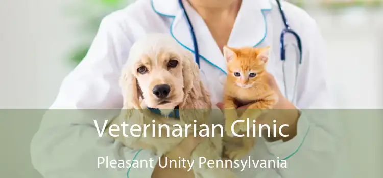 Veterinarian Clinic Pleasant Unity Pennsylvania