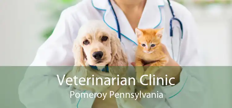 Veterinarian Clinic Pomeroy Pennsylvania