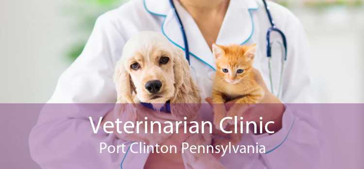 Veterinarian Clinic Port Clinton Pennsylvania