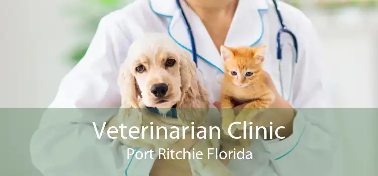 Veterinarian Clinic Port Ritchie Florida