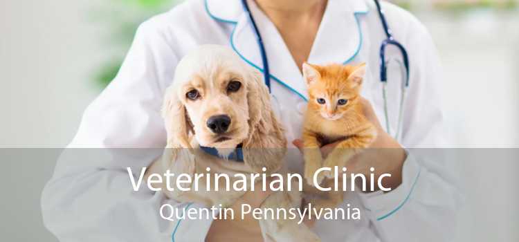 Veterinarian Clinic Quentin Pennsylvania