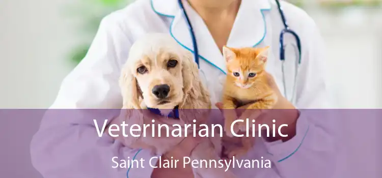 Veterinarian Clinic Saint Clair Pennsylvania
