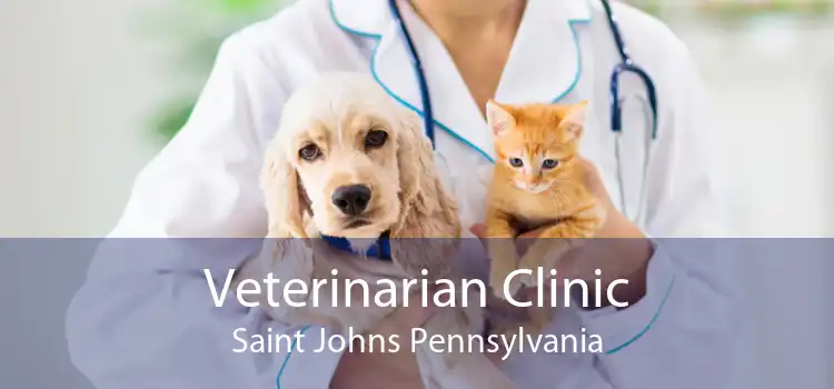 Veterinarian Clinic Saint Johns Pennsylvania