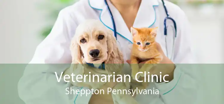 Veterinarian Clinic Sheppton Pennsylvania