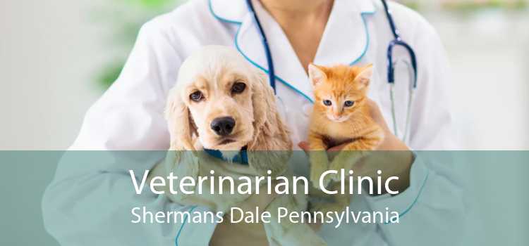 Veterinarian Clinic Shermans Dale Pennsylvania