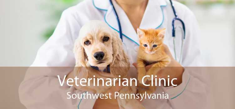 Veterinarian Clinic Southwest Pennsylvania