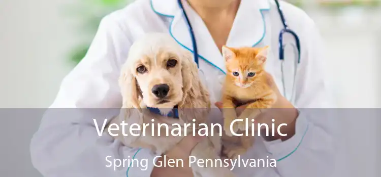 Veterinarian Clinic Spring Glen Pennsylvania