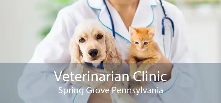 Veterinarian Clinic Spring Grove Pennsylvania
