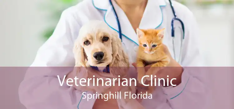 Veterinarian Clinic Springhill Florida