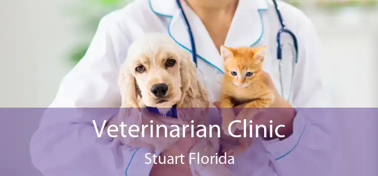 Veterinarian Clinic Stuart Florida