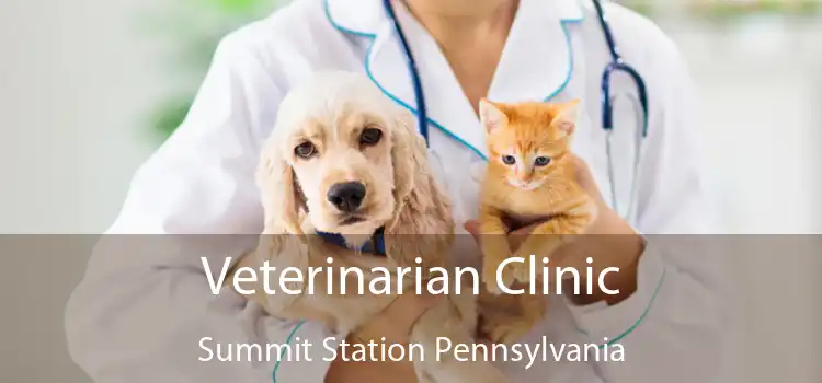 Veterinarian Clinic Summit Station Pennsylvania