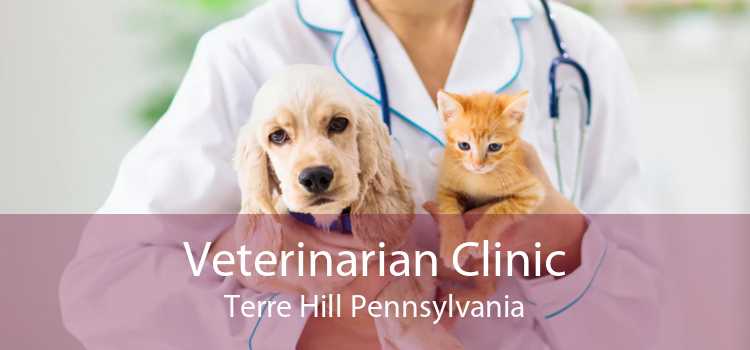 Veterinarian Clinic Terre Hill Pennsylvania