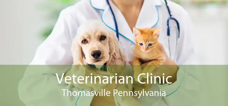 Veterinarian Clinic Thomasville Pennsylvania