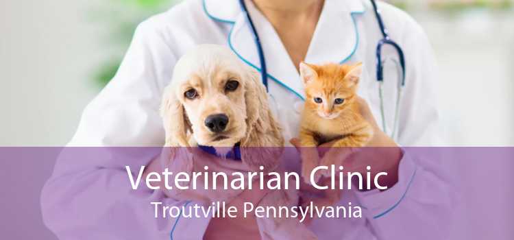 Veterinarian Clinic Troutville Pennsylvania