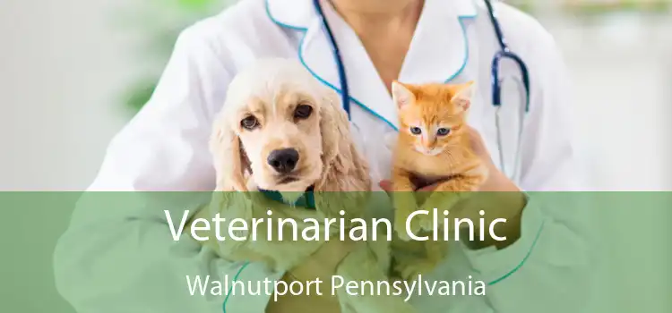 Veterinarian Clinic Walnutport Pennsylvania