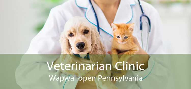 Veterinarian Clinic Wapwallopen Pennsylvania