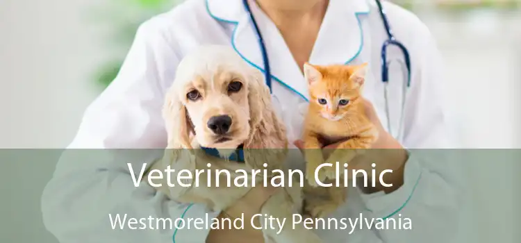 Veterinarian Clinic Westmoreland City Pennsylvania