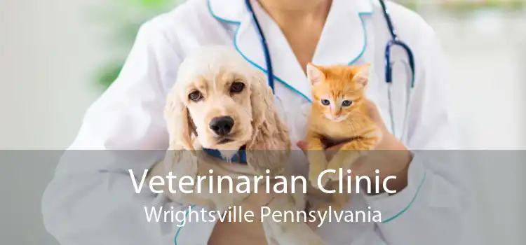 Veterinarian Clinic Wrightsville Pennsylvania