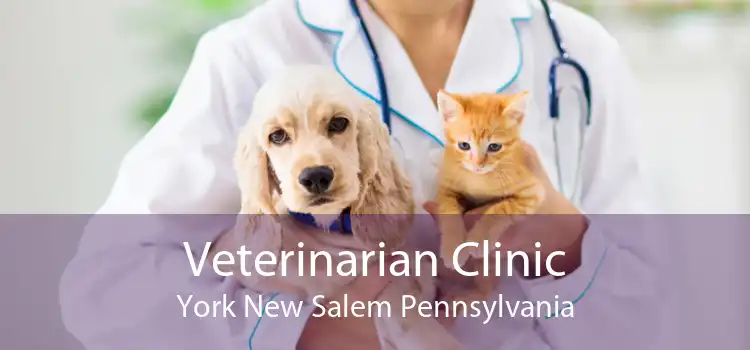 Veterinarian Clinic York New Salem Pennsylvania