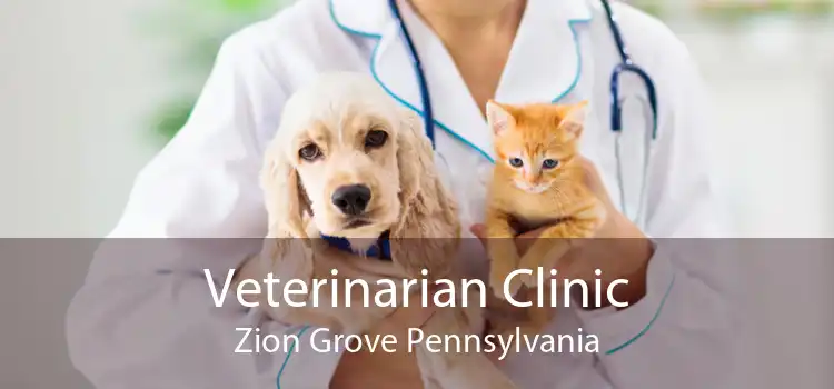 Veterinarian Clinic Zion Grove Pennsylvania